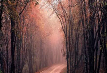 PG电子官网入口-曼联赛前发布会：全队信心满满迎战西悉尼流浪者