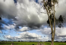 PG平台-狼队：力争胜利突破排名困境