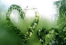 PG中国登录入口-鹿岛鹿角备战世俱杯半决赛，西悉尼流浪者状态成关键