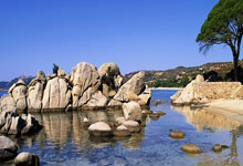 PG平台-鹿岛鹿角球员团队氛围良好，备战世俱杯信心满满