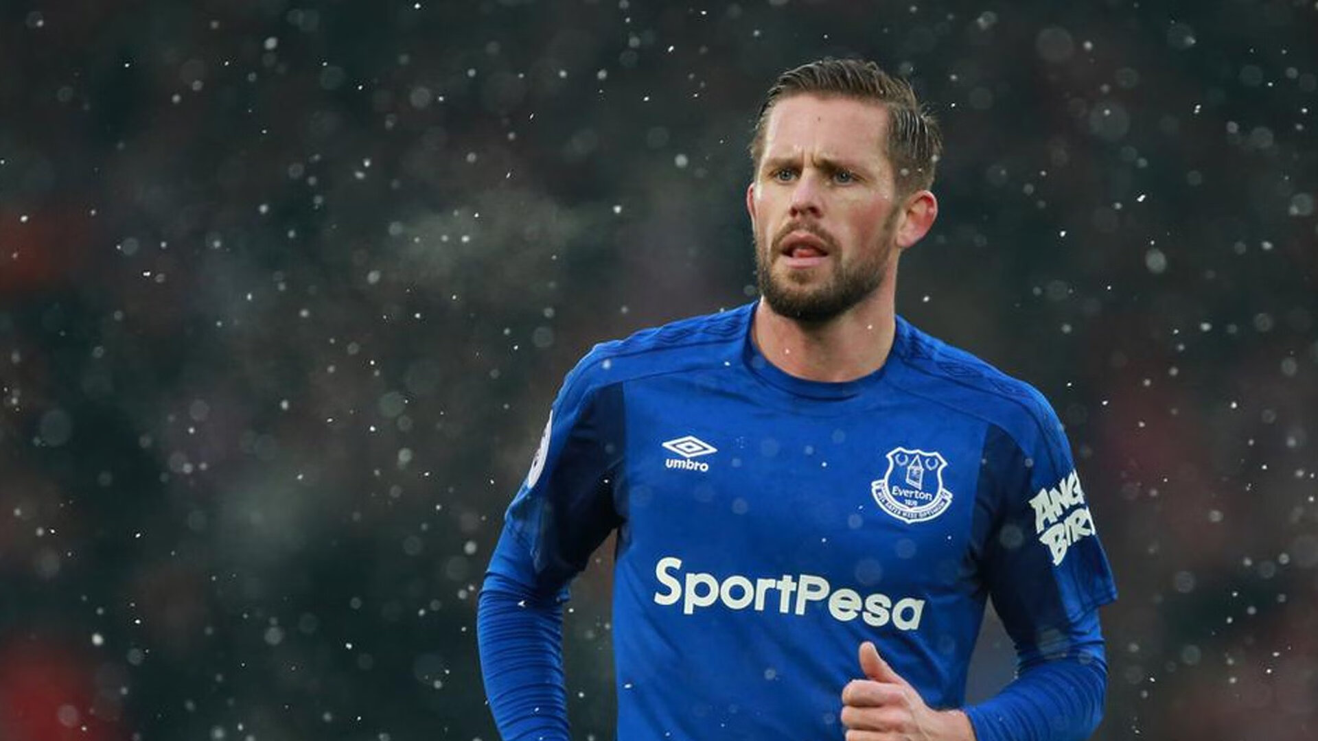 PG电子线上登入-当南十字星坠入加勒比海，厄德高一人撕碎新西兰铁壁防线