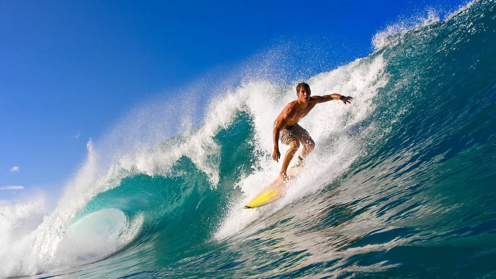 绝地鹰袭，浙江斑马撕裂长空，文班亚马化身关键先生定乾坤